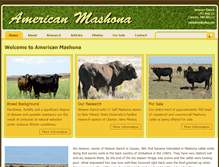 Tablet Screenshot of americanmashona.com